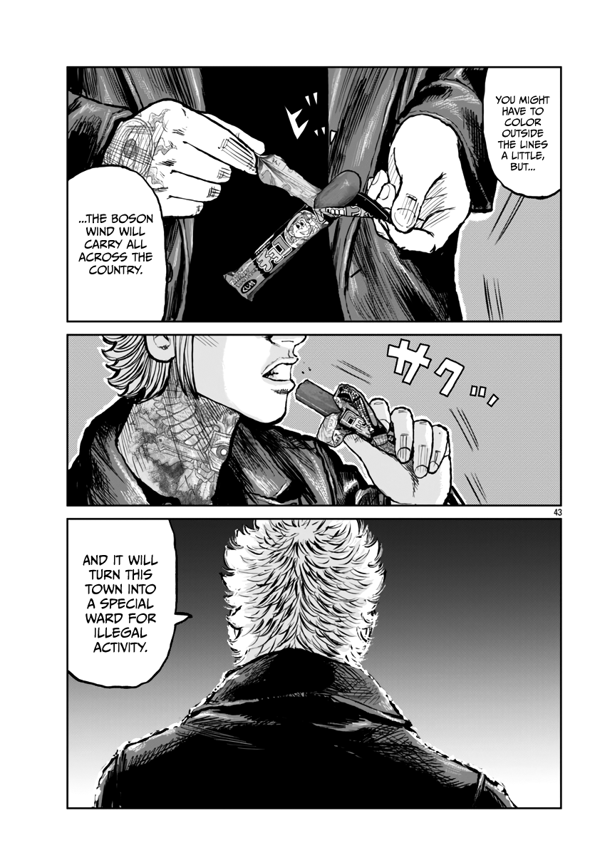 Page 43