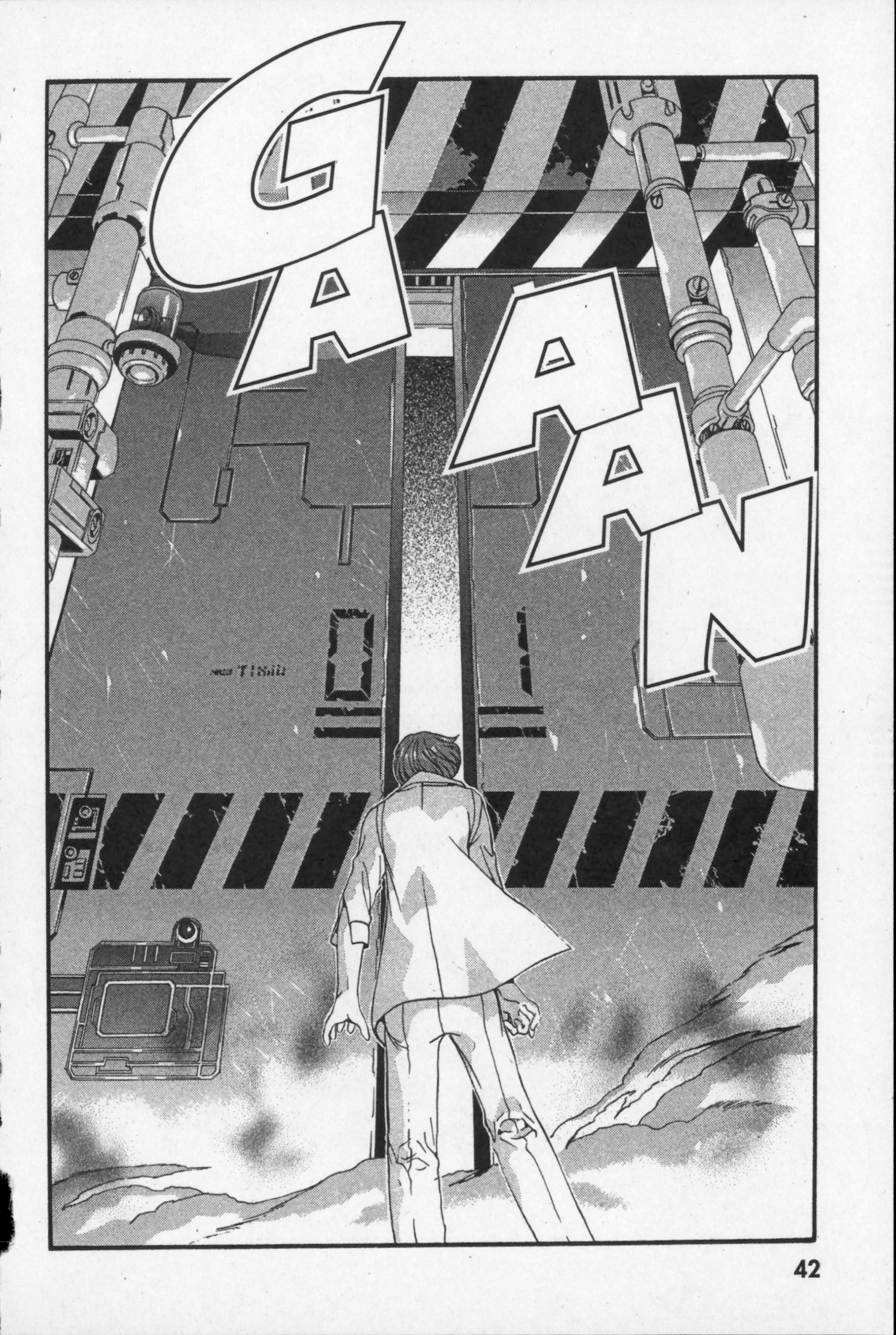 Page 43