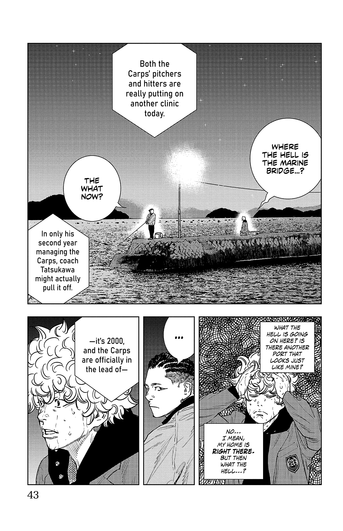 Page 43