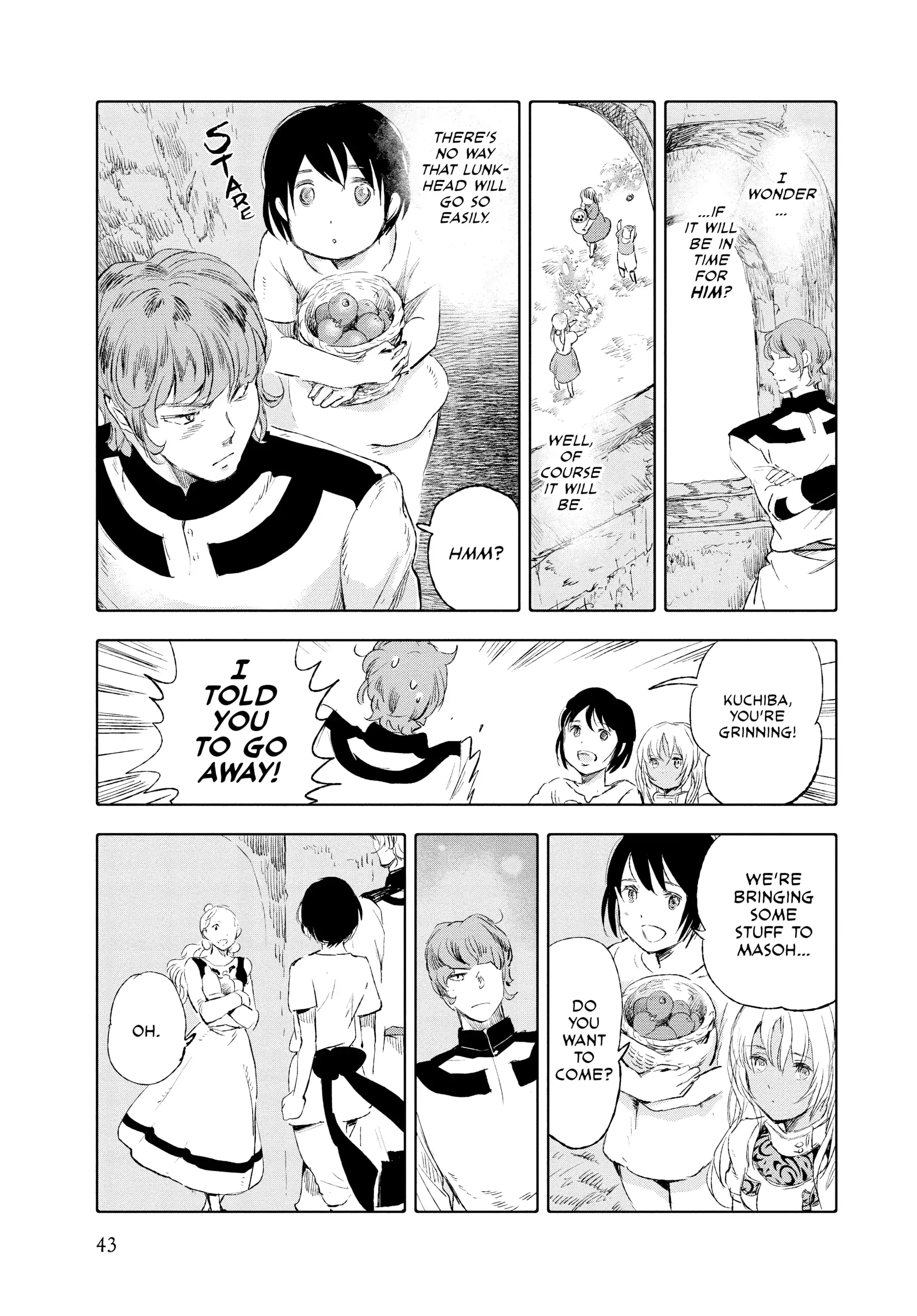 Page 43
