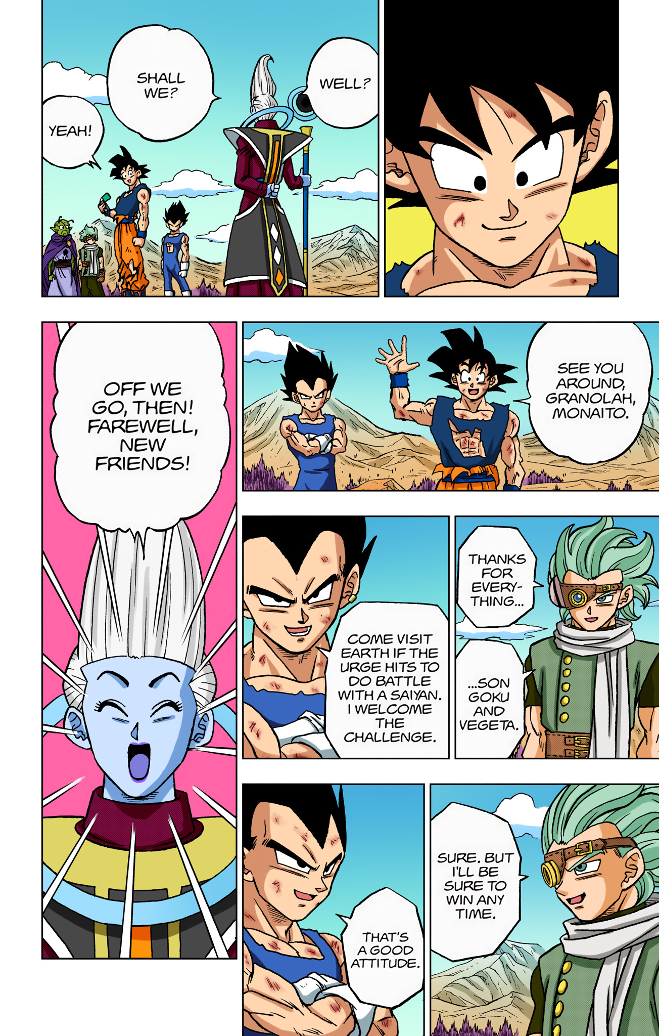 Page 43