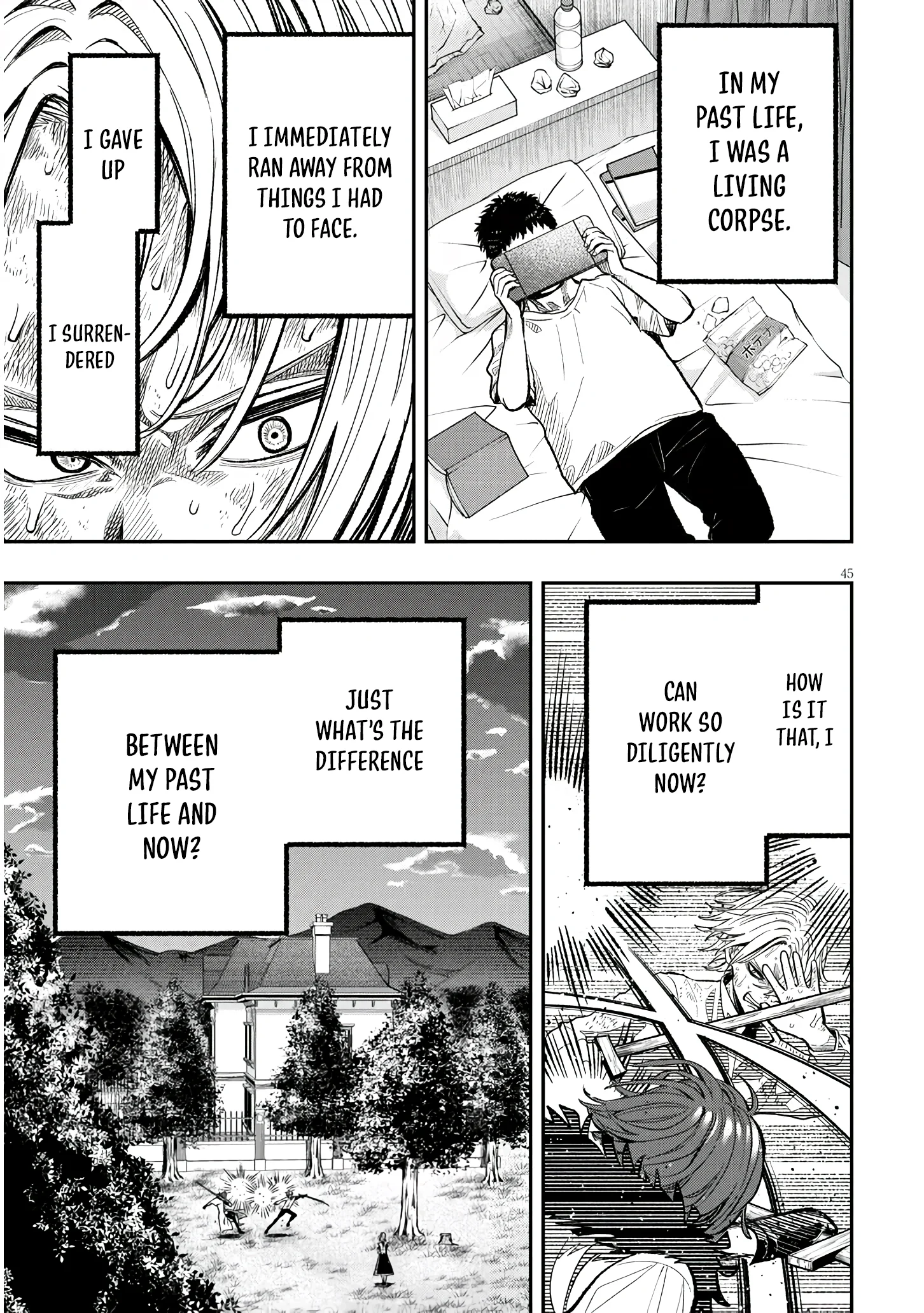 Page 45