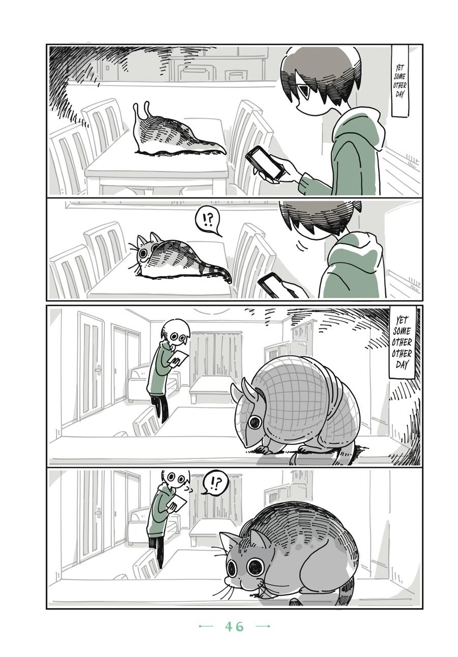 Page 46