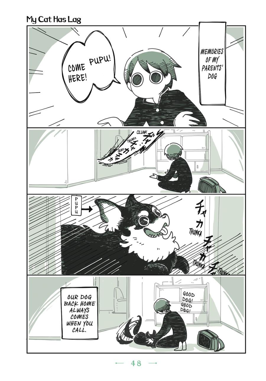 Page 48