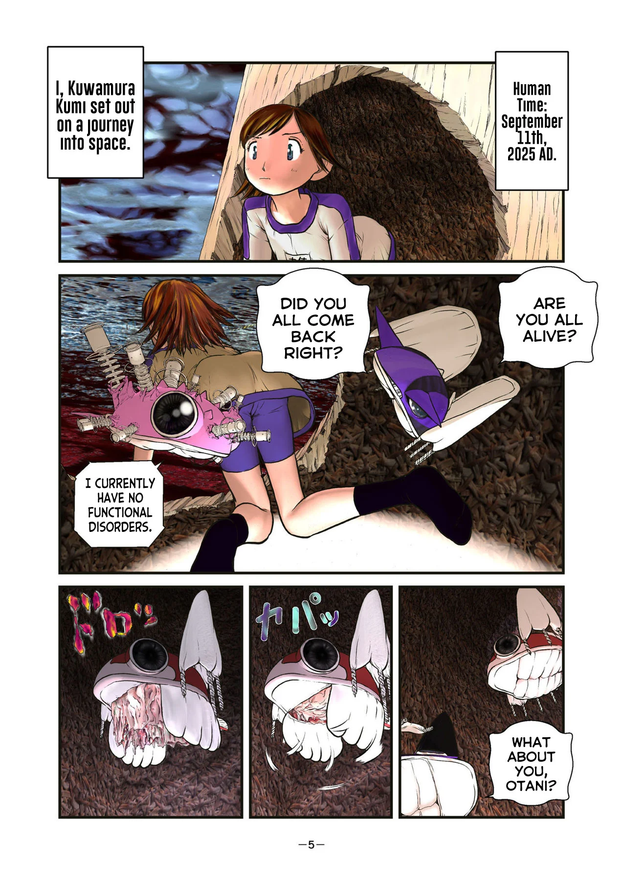 Page 5