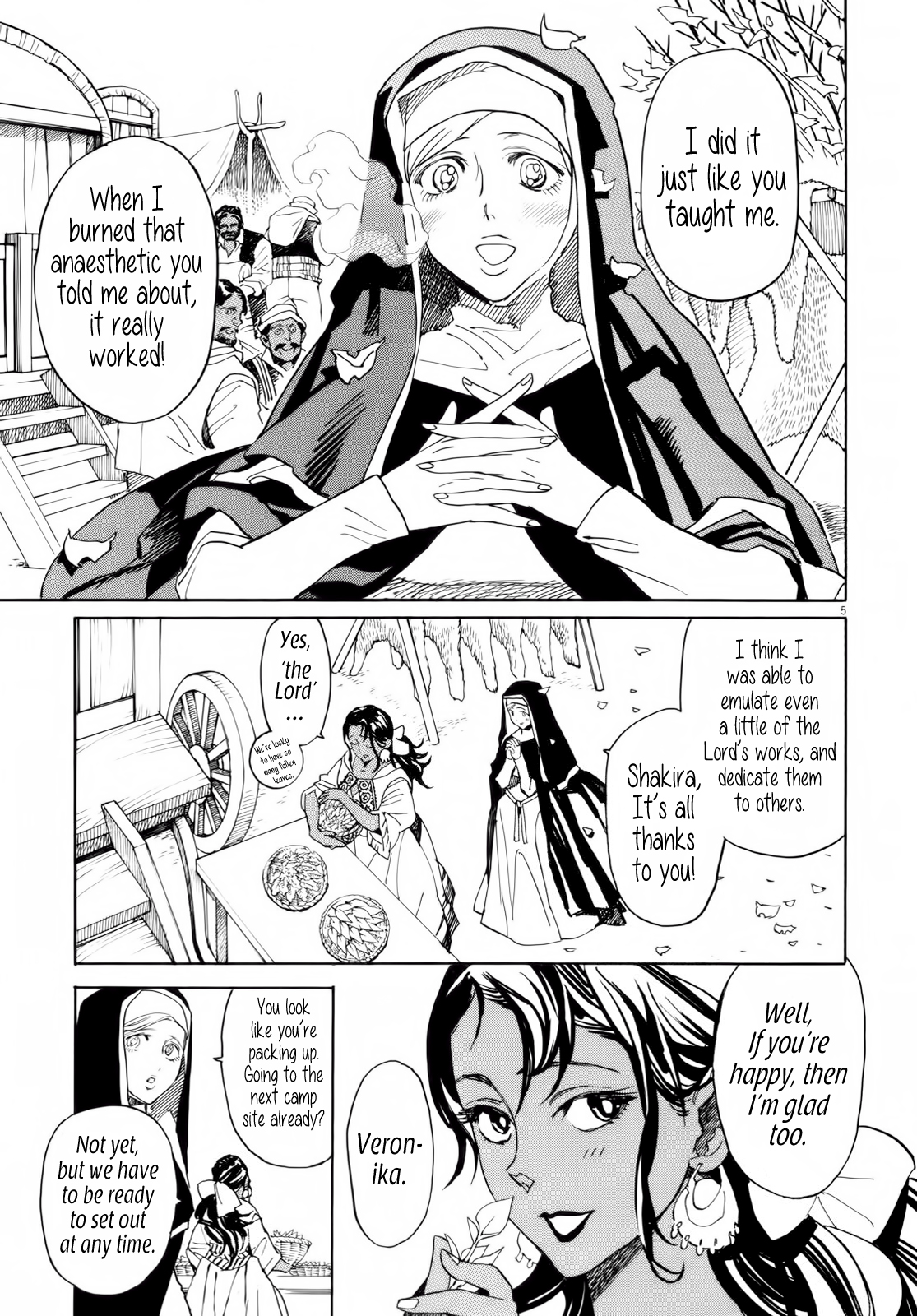 Page 5