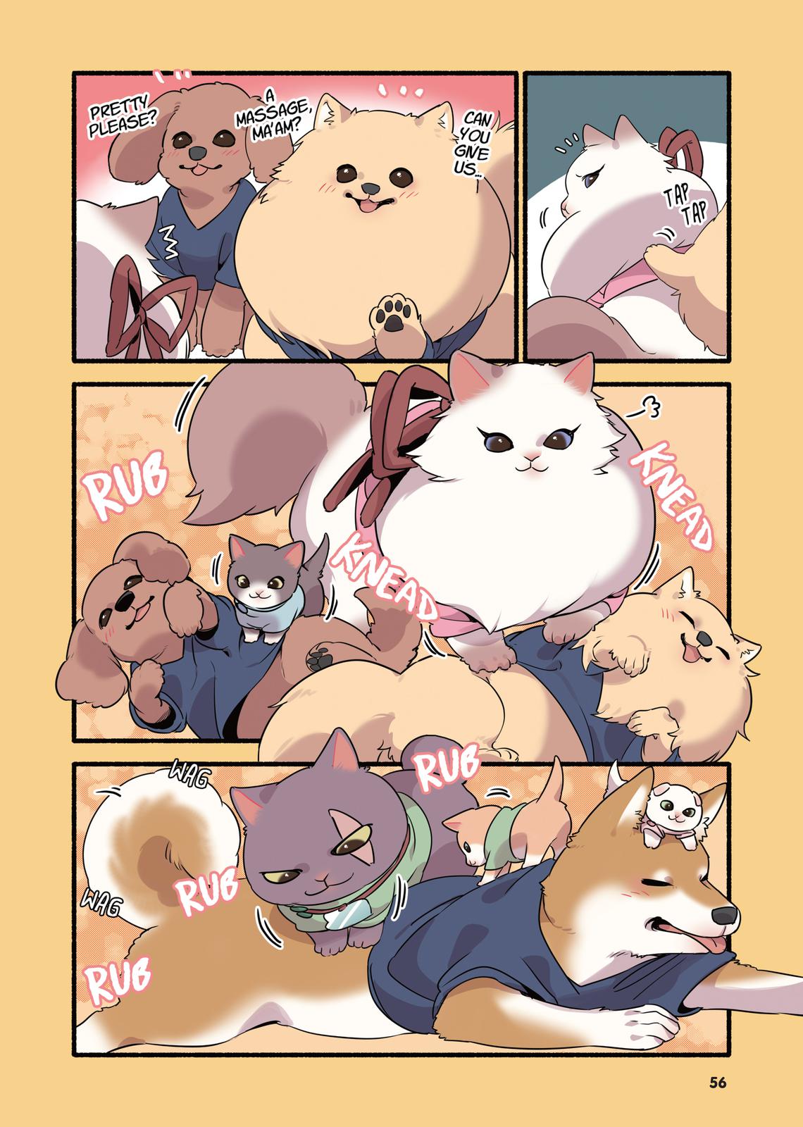 Page 55