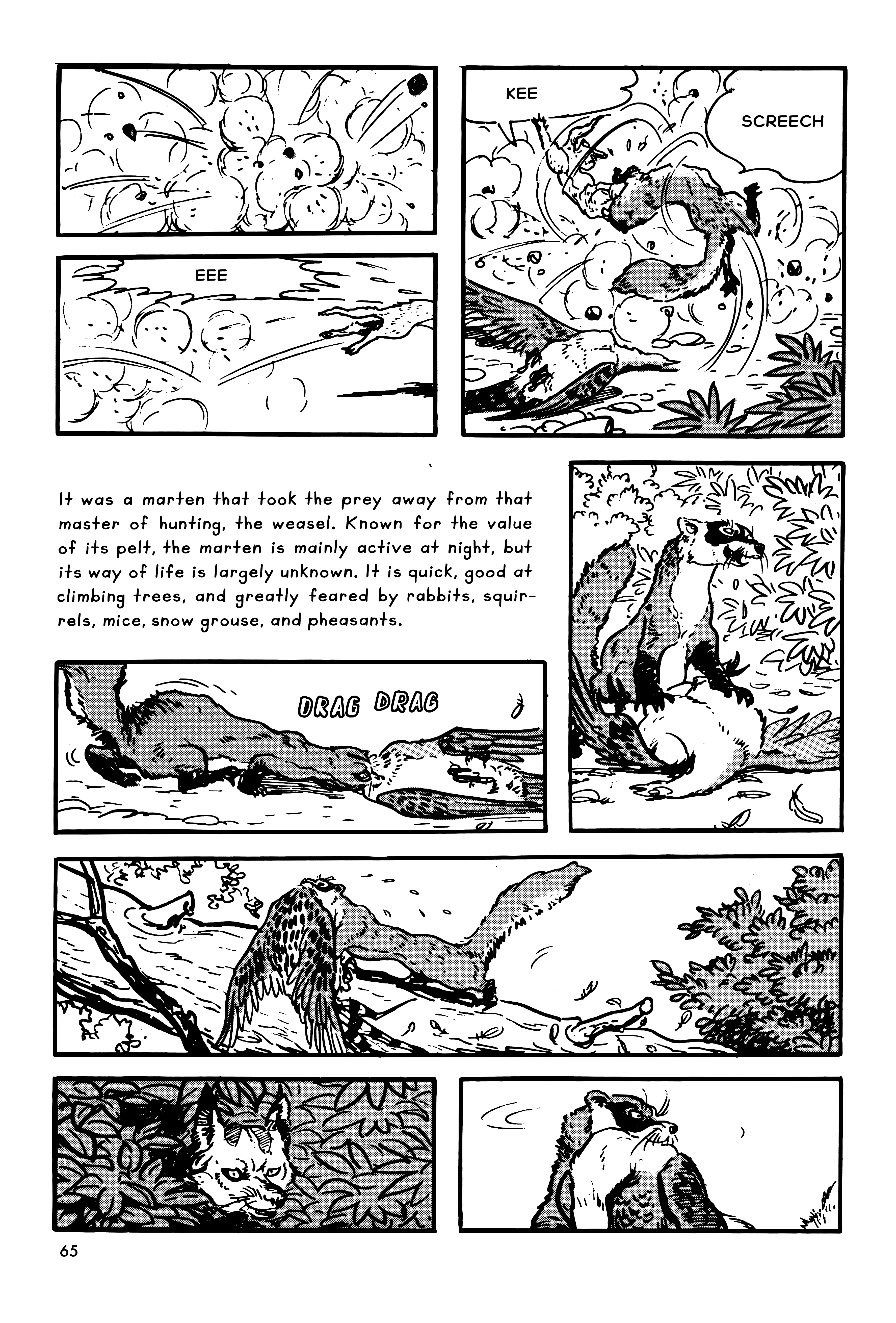 Page 65
