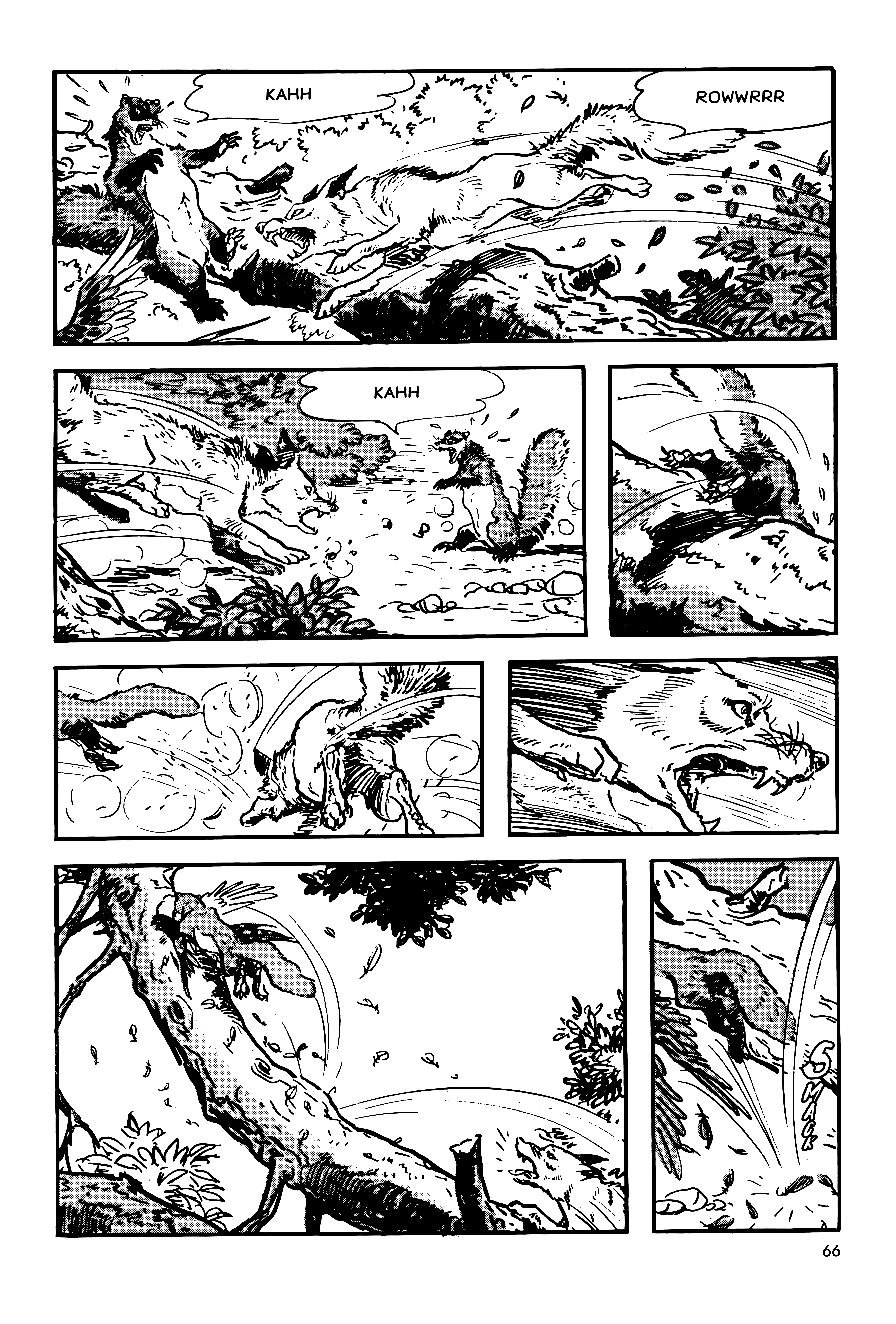 Page 66
