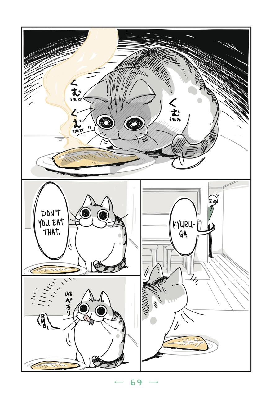 Page 69