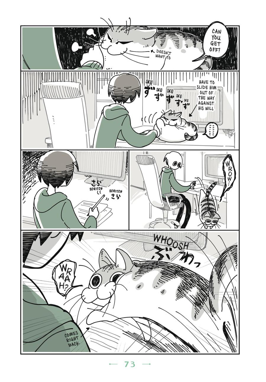 Page 73