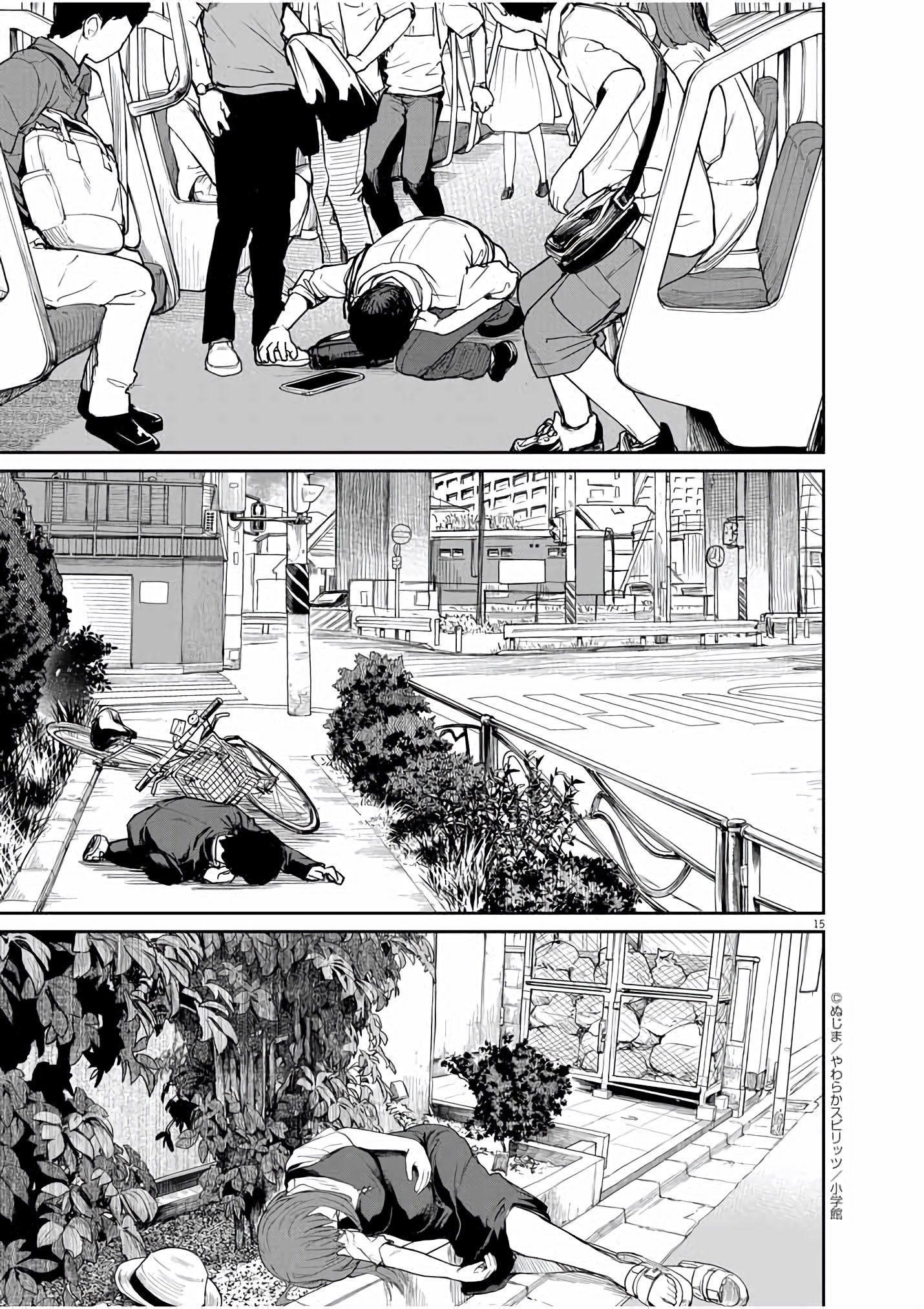 Page 15