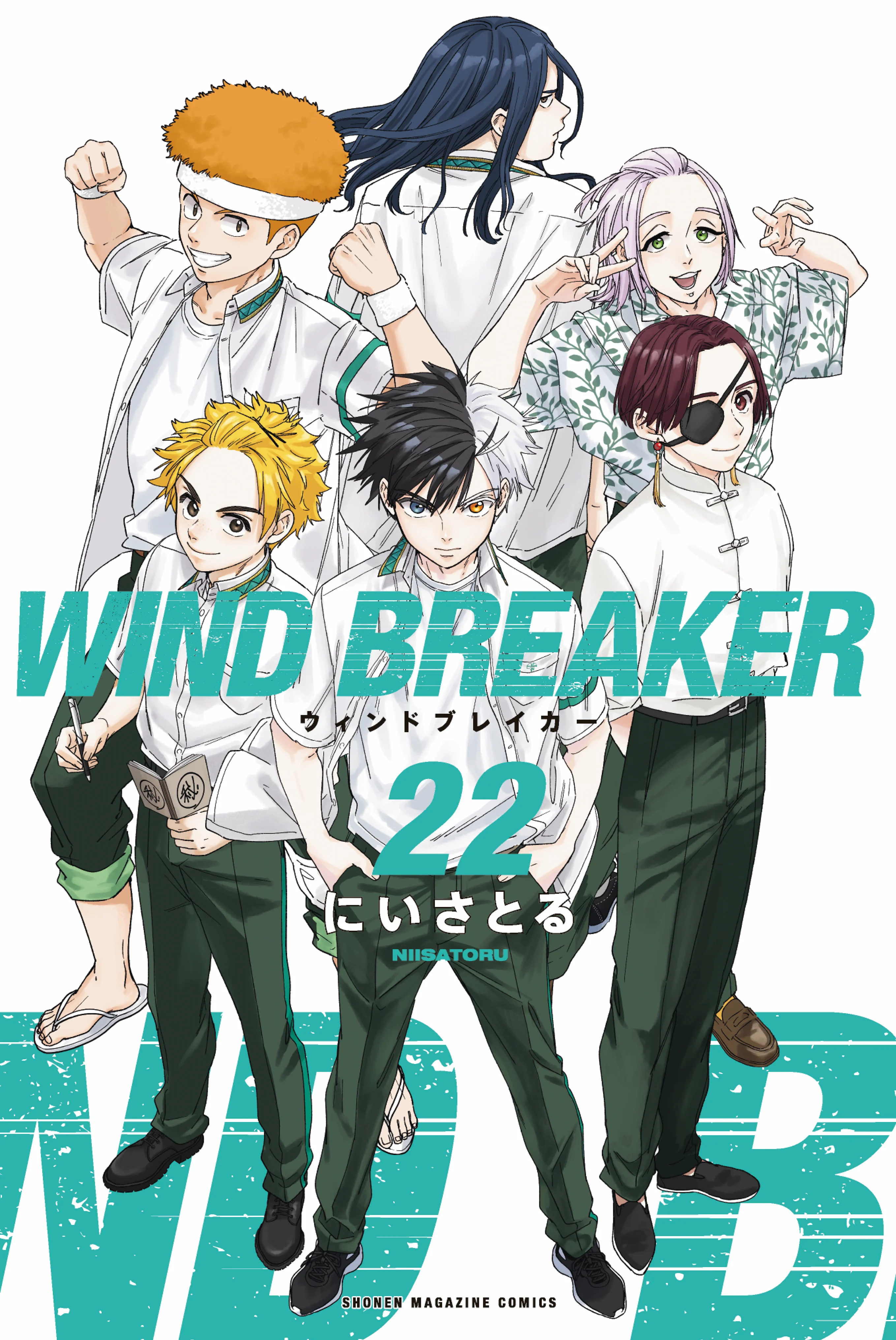 Wind Breaker
