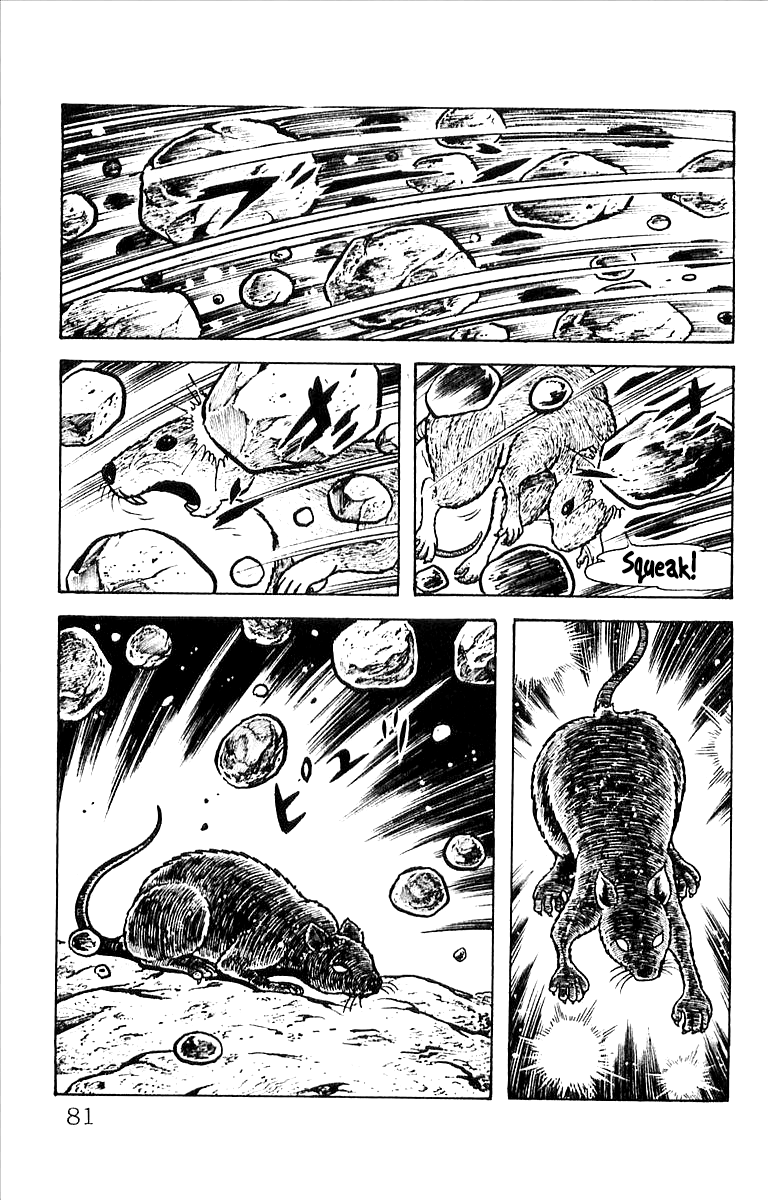 Page 81