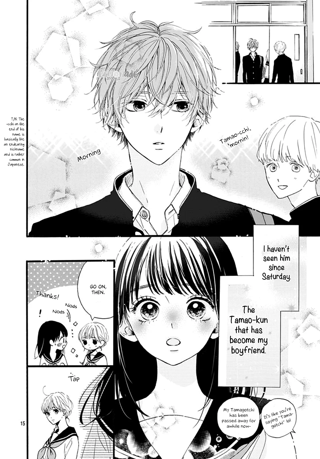 Page 17
