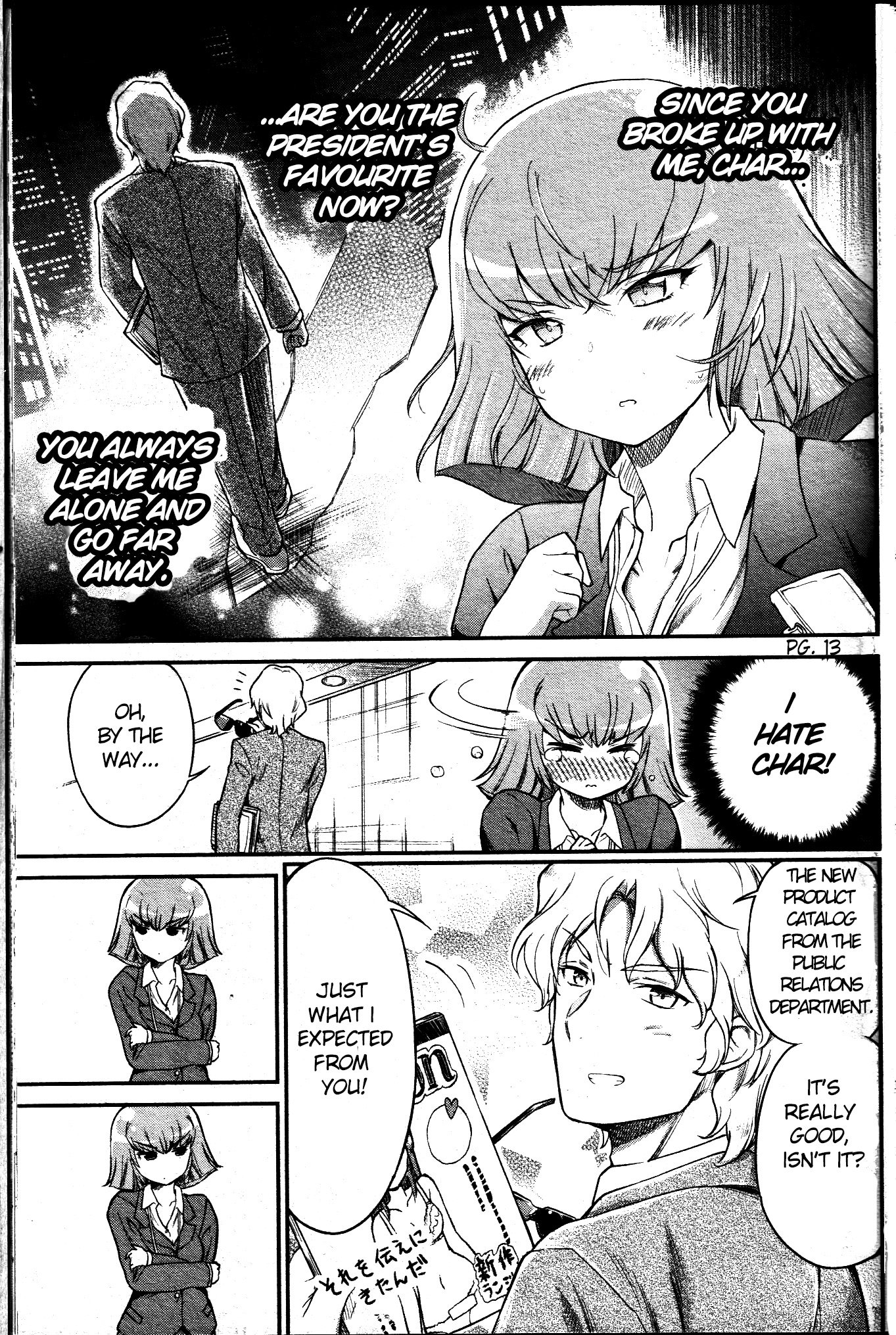 Page 13