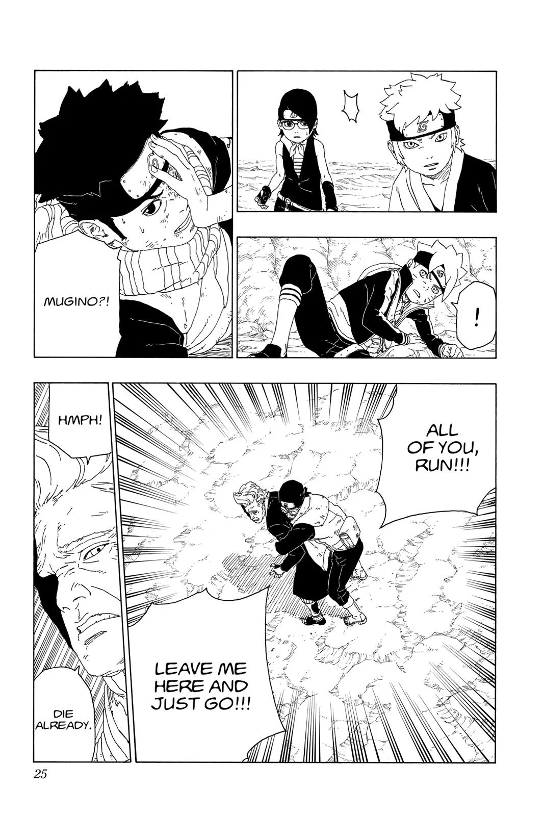Page 25