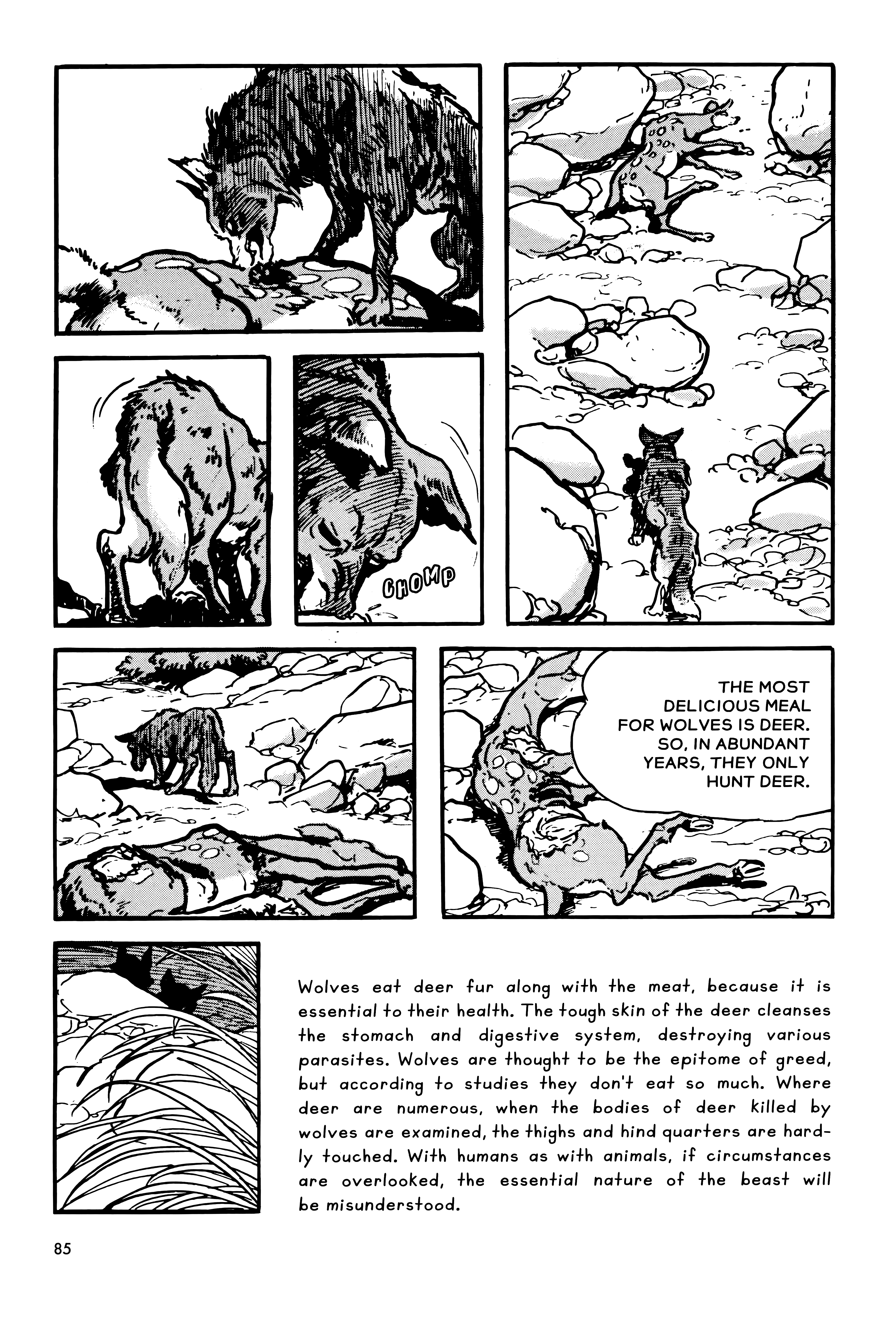 Page 85