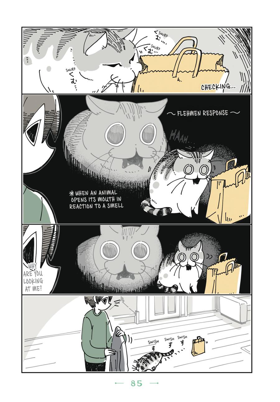 Page 85