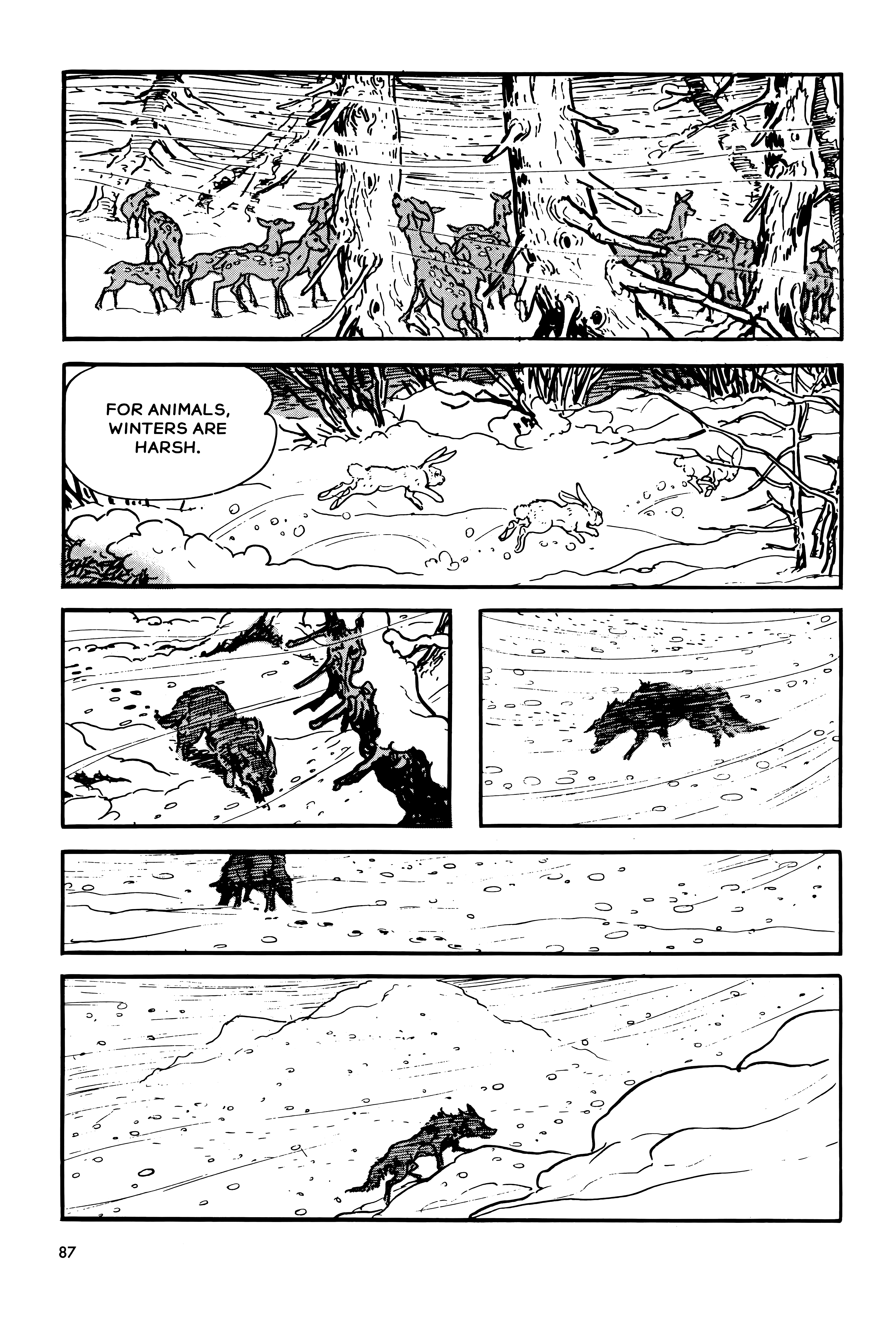 Page 87
