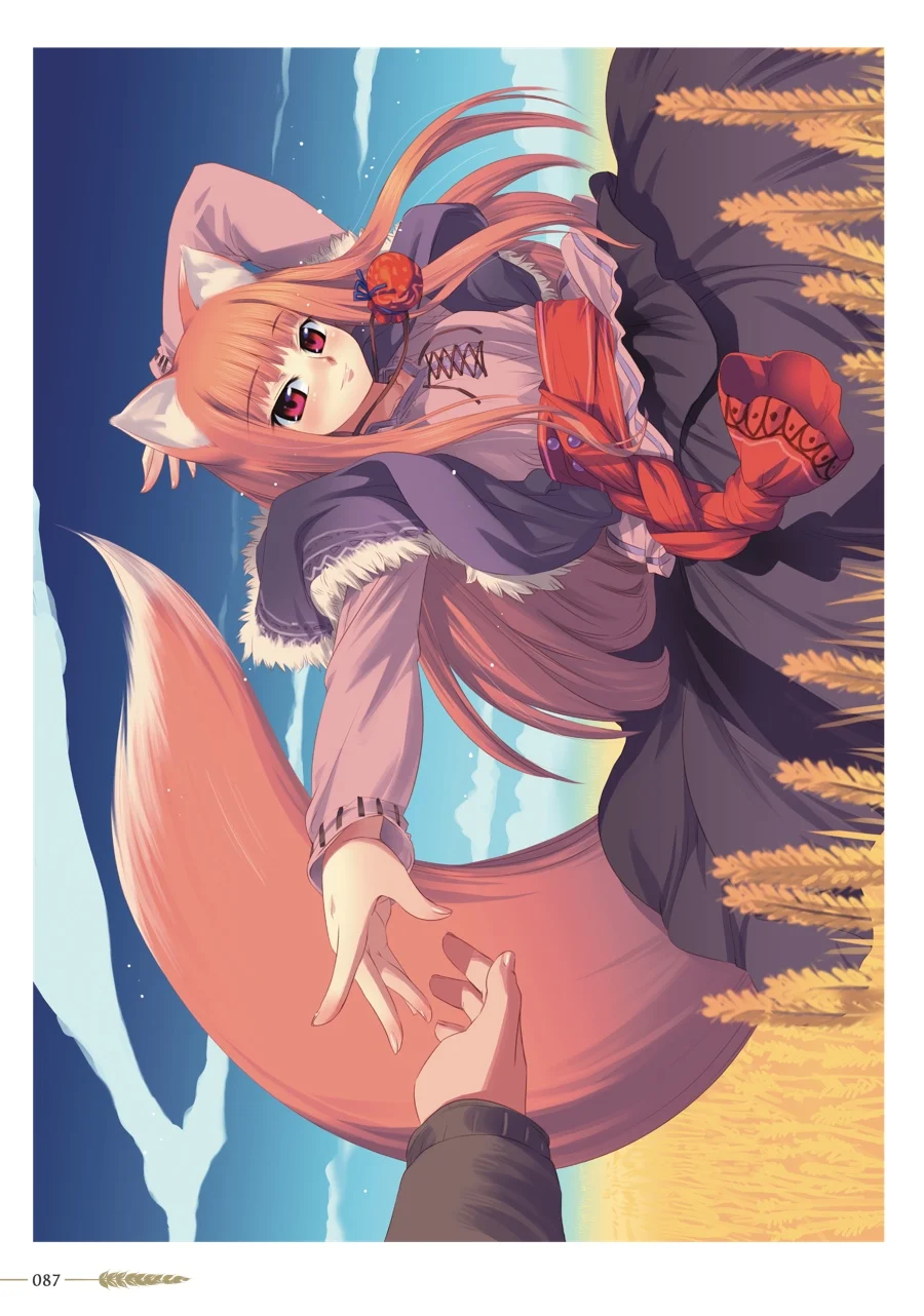 Page 87