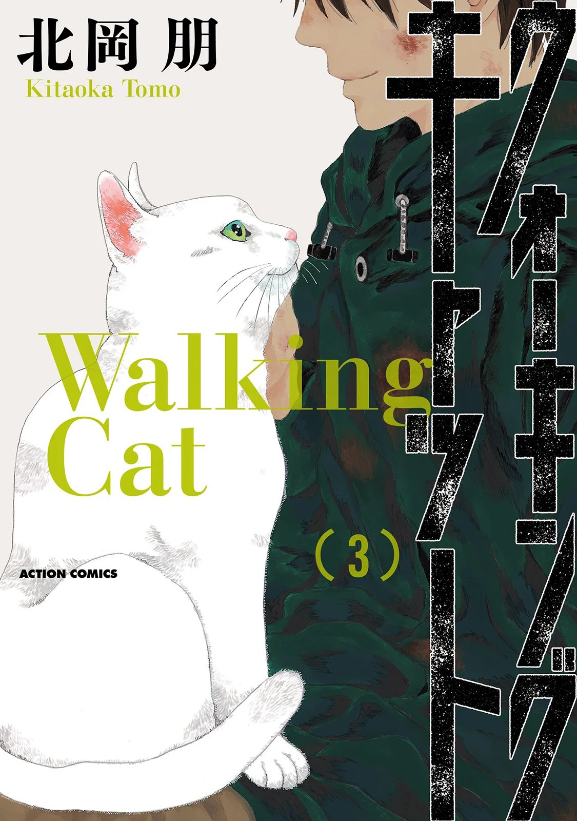 Walking Cat