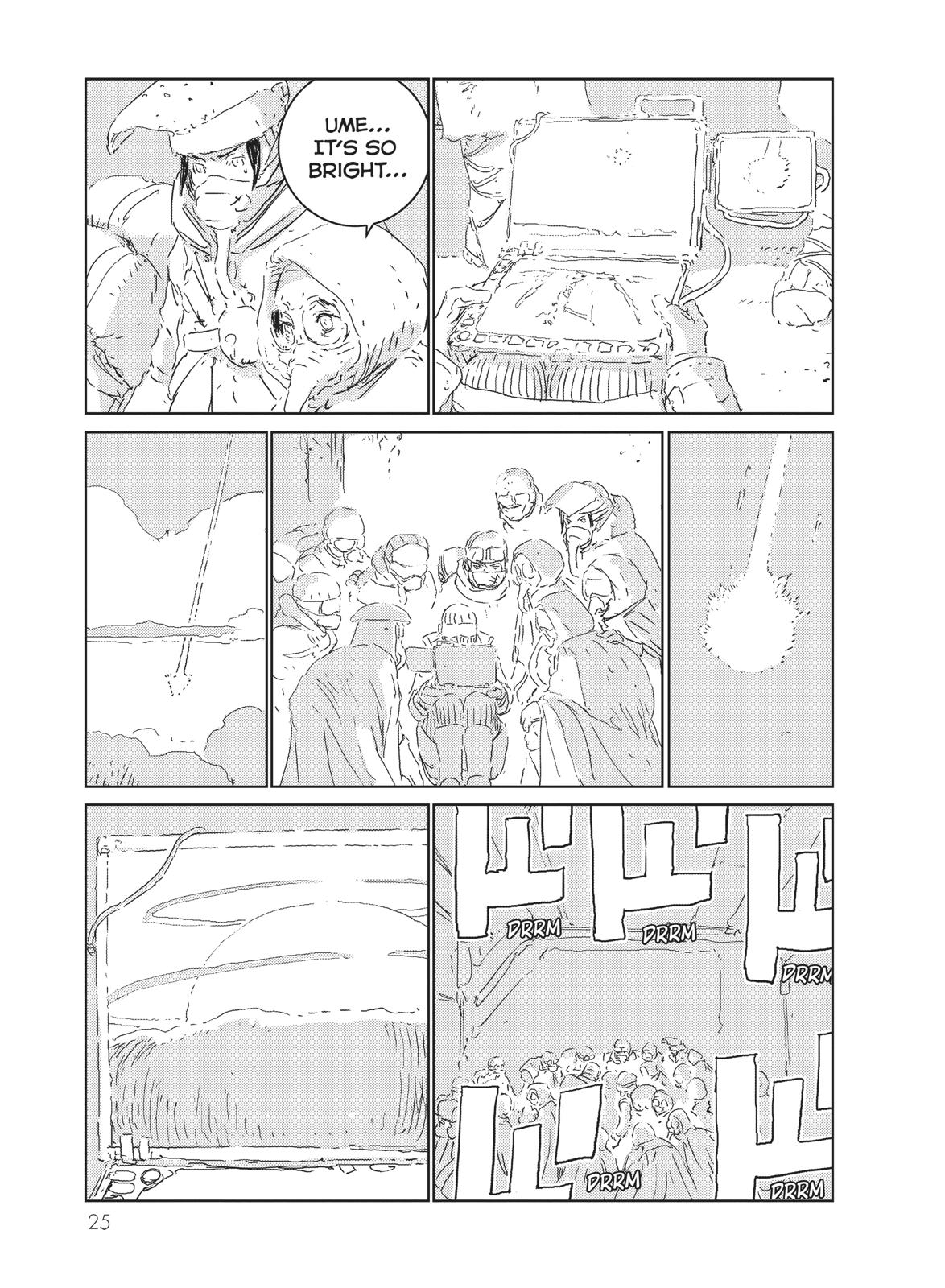 Page 25