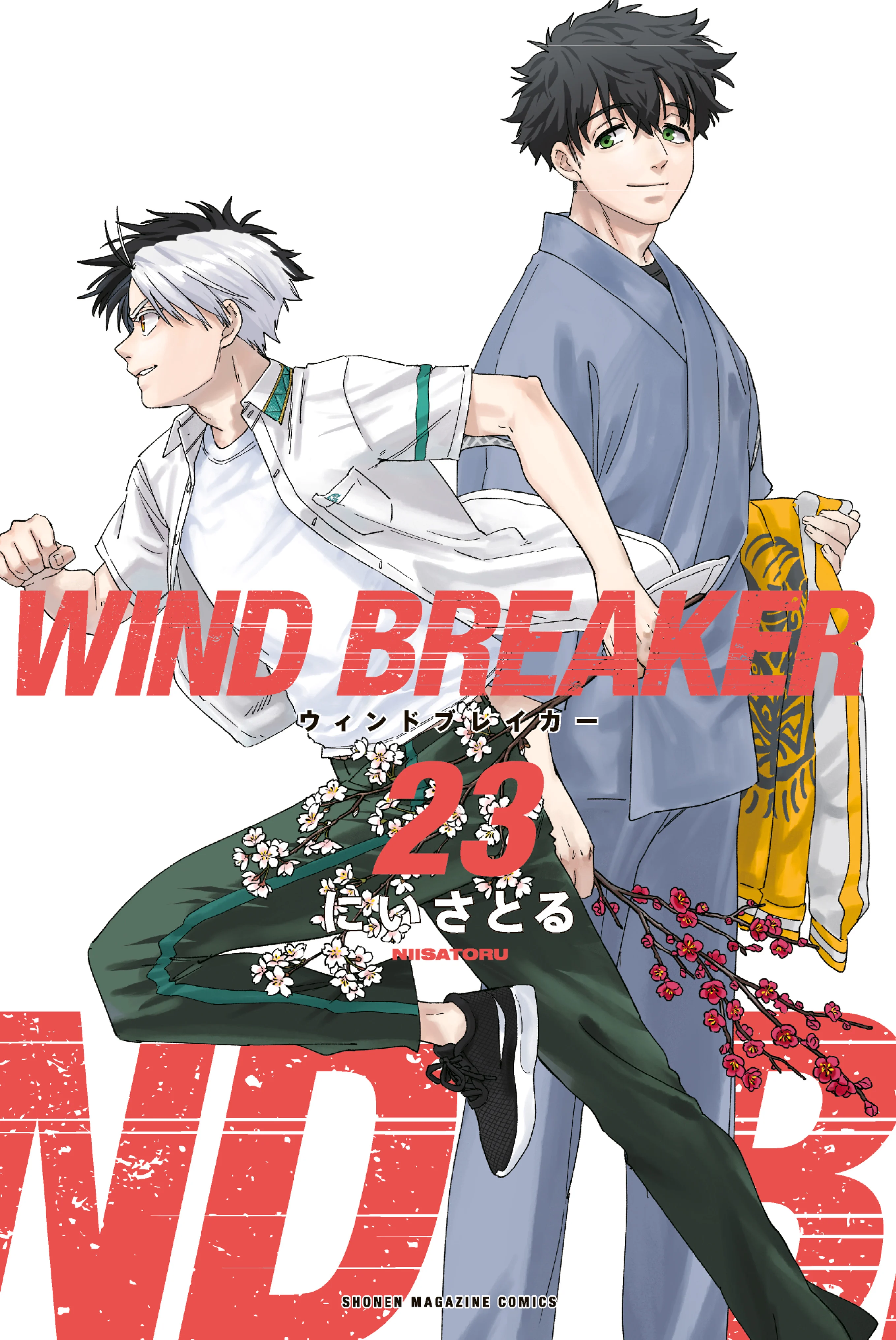 Wind Breaker