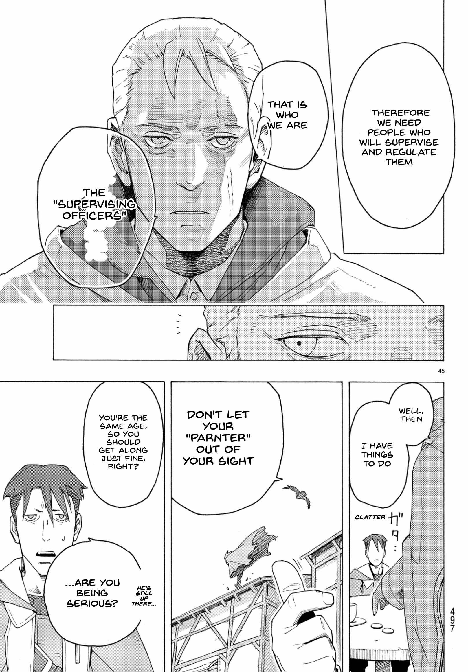 Page 45
