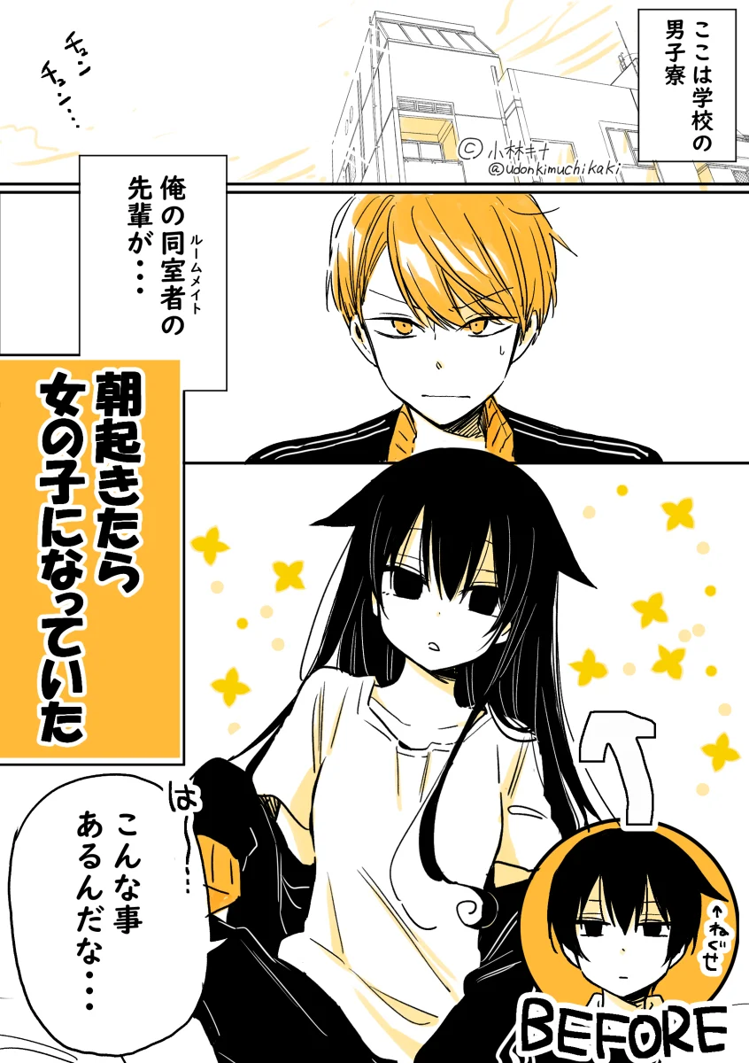 About a Lazy High School Guy Who Woke Up as a Girl One Morning (Pre-serialization)