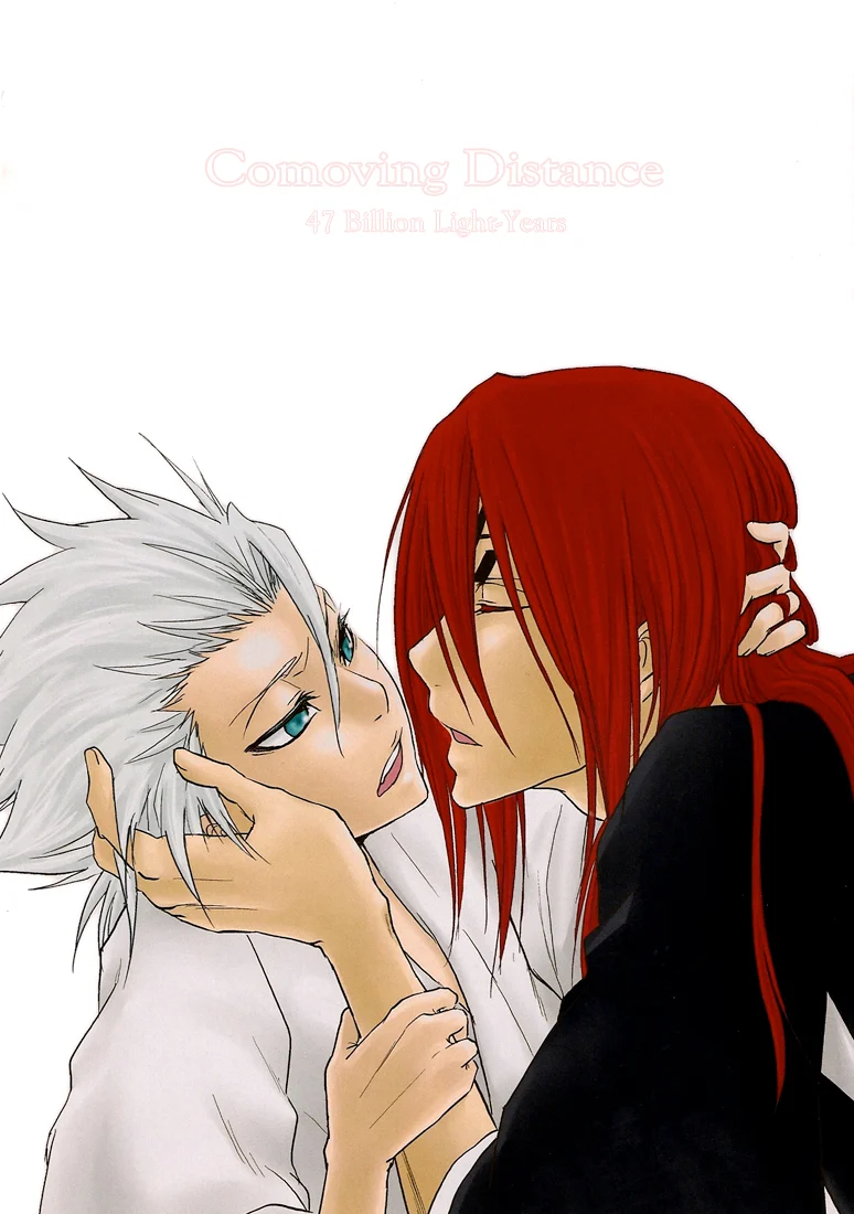 Bleach - Comoving Distance (Doujinshi)