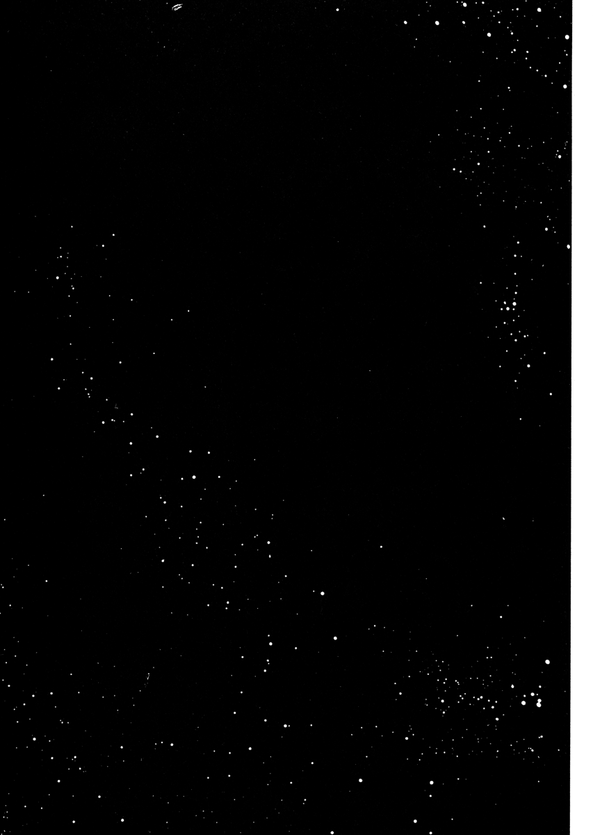 Page 319