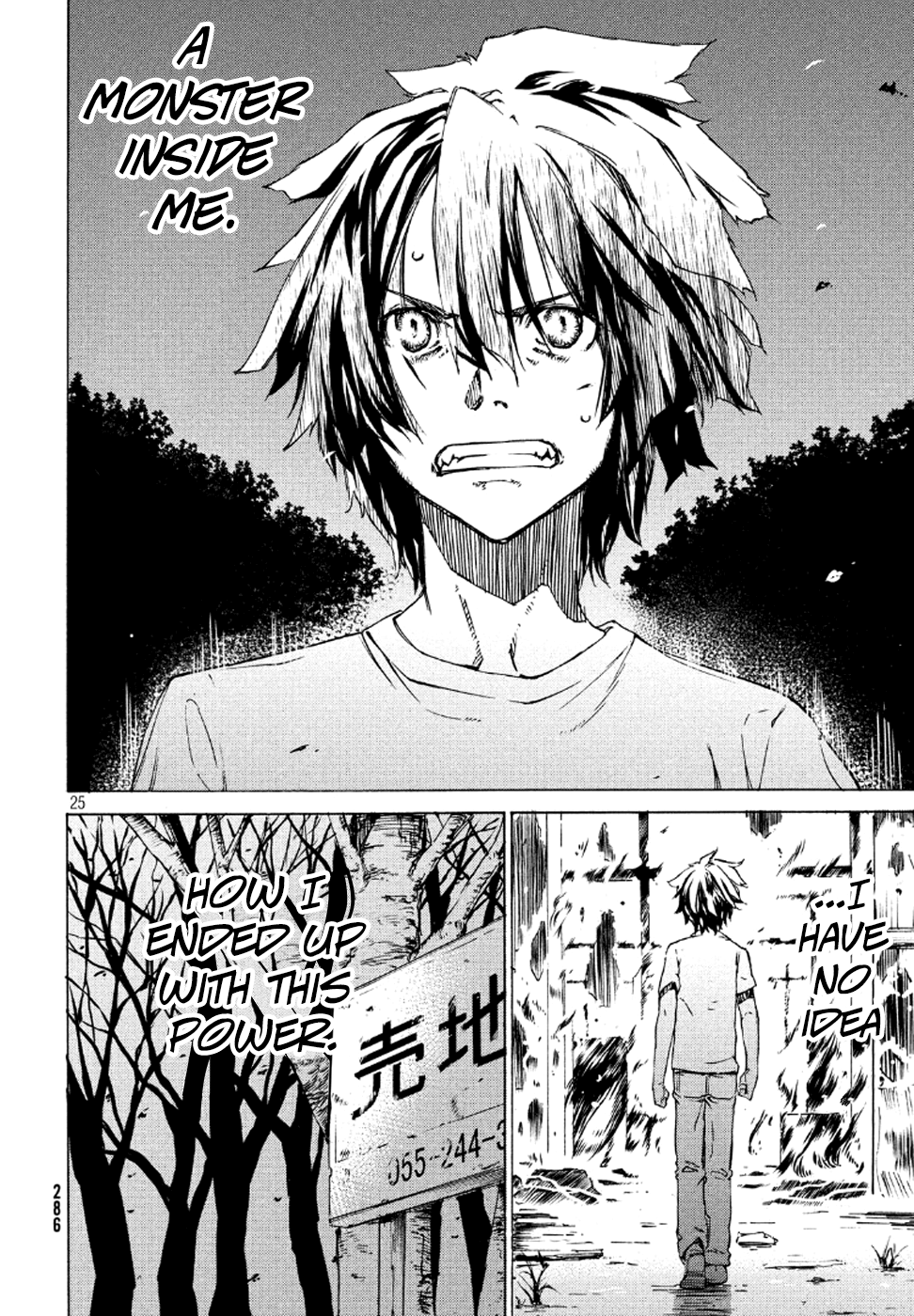 Page 25