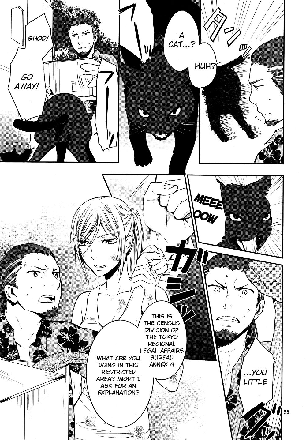 Page 25